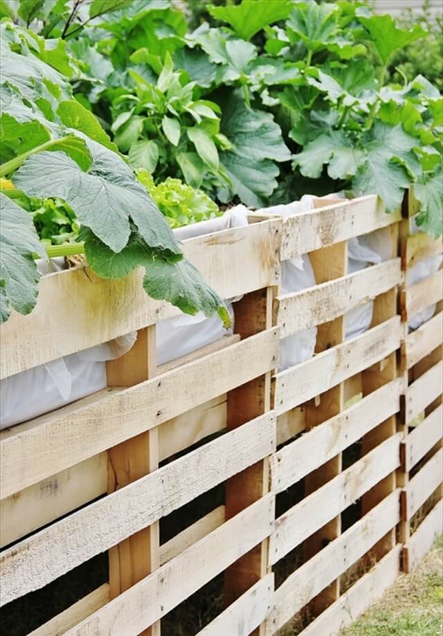 Pallet Vegetables Garden and Fence Safety 99 Pallets
