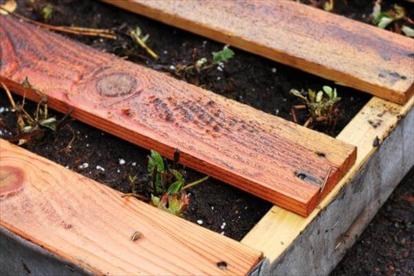 recycled pallet vertical garden