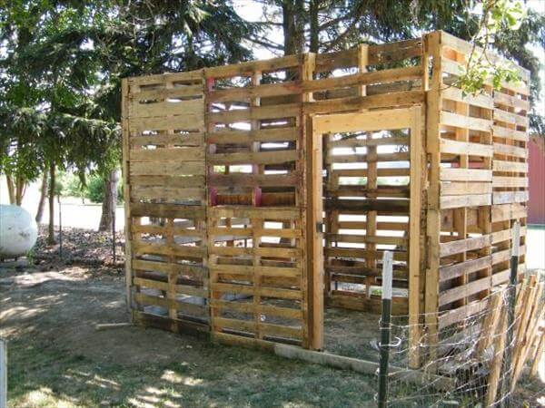 Hens Plans: Chicken breeding pen design