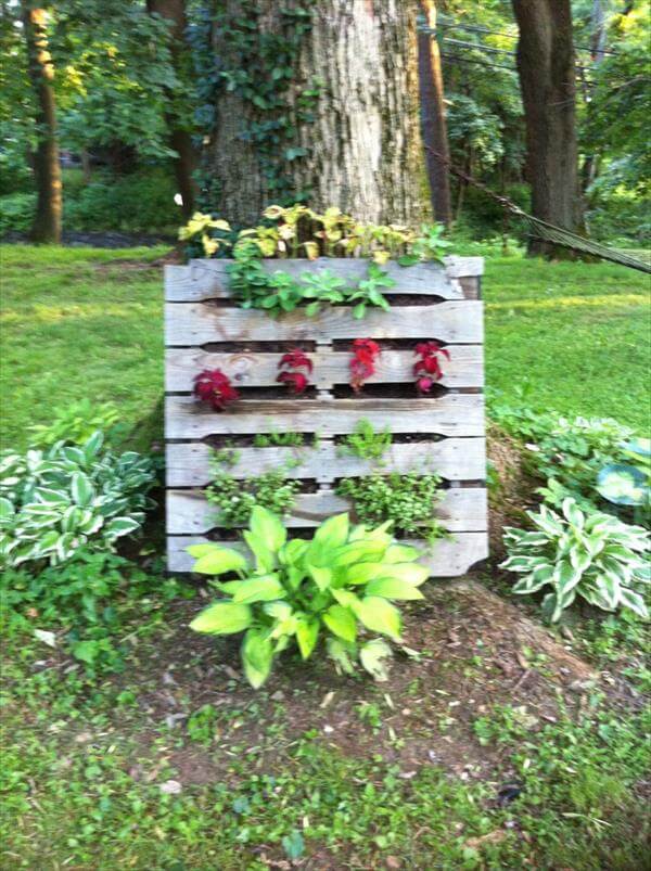 reclaimed pallet vertical garden