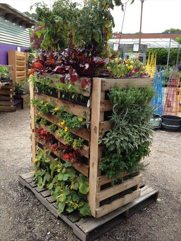 vertical garden out of pallet wood