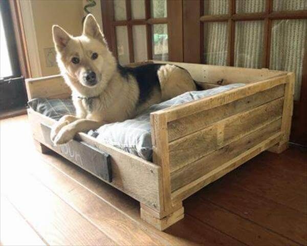11 DIY Pallet Dog Bed Ideas | 99 Pallets