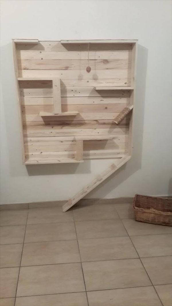 Cat Condo Plans | Free Outdoor Plans DIY Shed, Wooden Playhouse, Bbq 