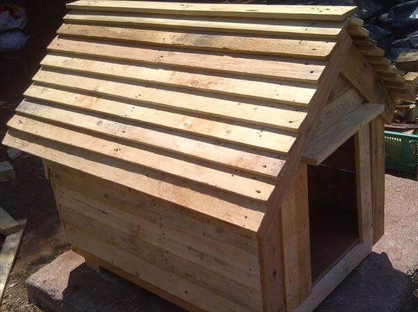 Related informations : The Way To Construct A Doghouse Out Of Timber 