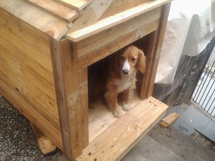 Dog House Made Out of Pallets  99 Pallets