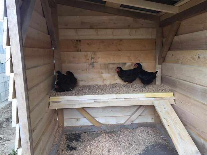 Pallet Chicken Coop - Easy to Do with Pallets | 99 Pallets