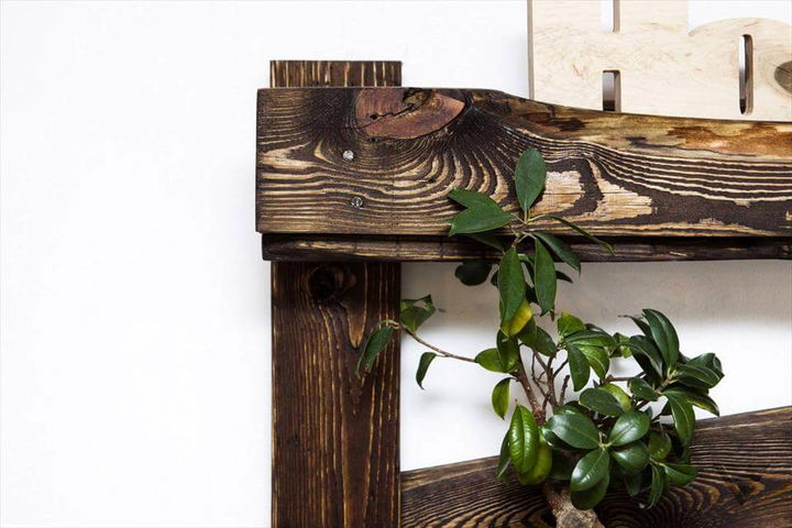DIY Pallet Shelf with Hooks and Glass Rack | 99 Pallets