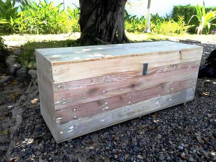 pallet trunk