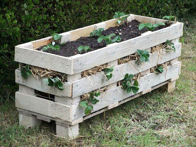 How To Make A Strawberry Pallet Planter
