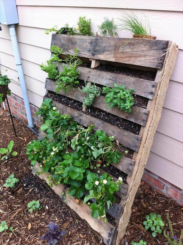 Diy Vertical Pallet Vegetable Garden