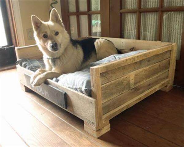 dog bed made from pallets