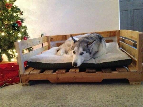 reclaimed pallet dog bed 