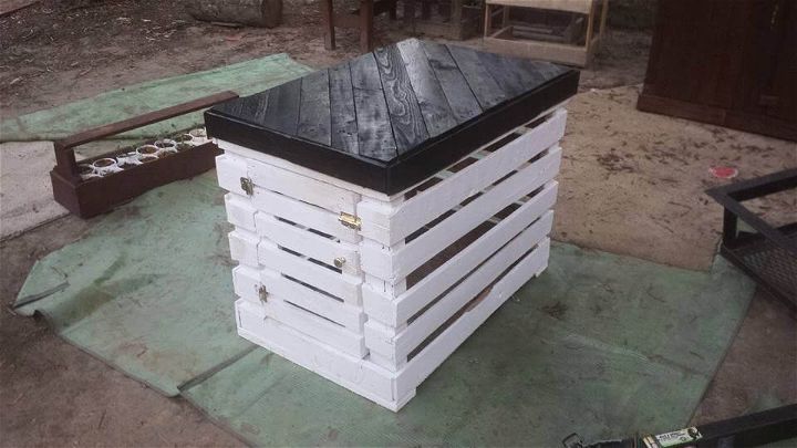 handcrafted pallet dog shelter