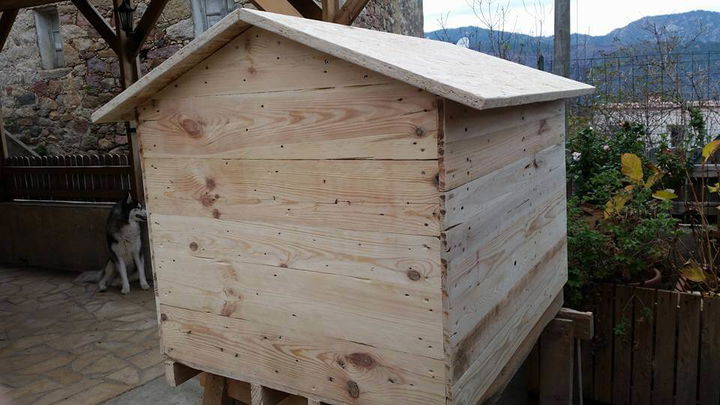 pallet dog house