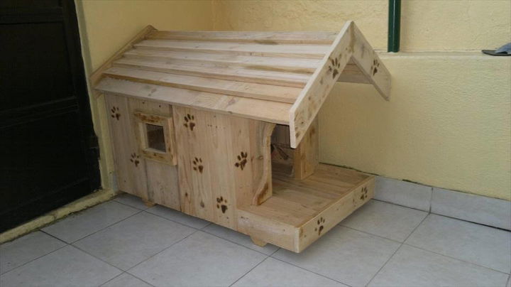 cute dog house