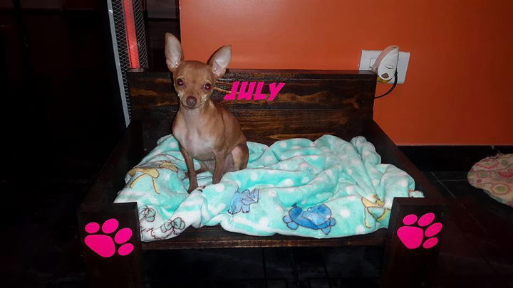 Recycled pallet dog bed