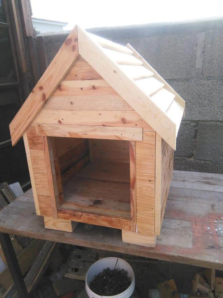 Build a Dog House from Pallets