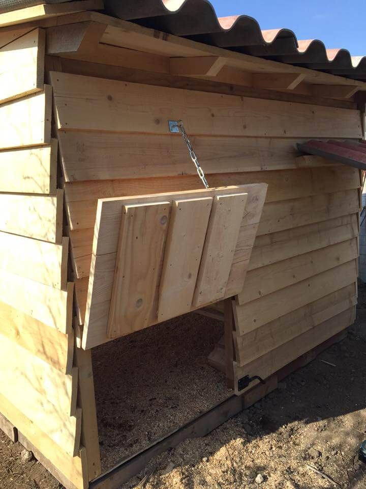 recycled pallet chicken coop