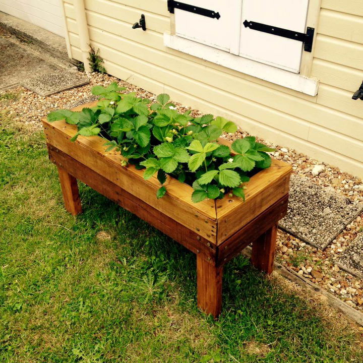 Planter Boxes from Pallets