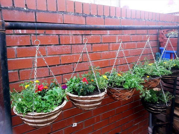 hanging basket planters