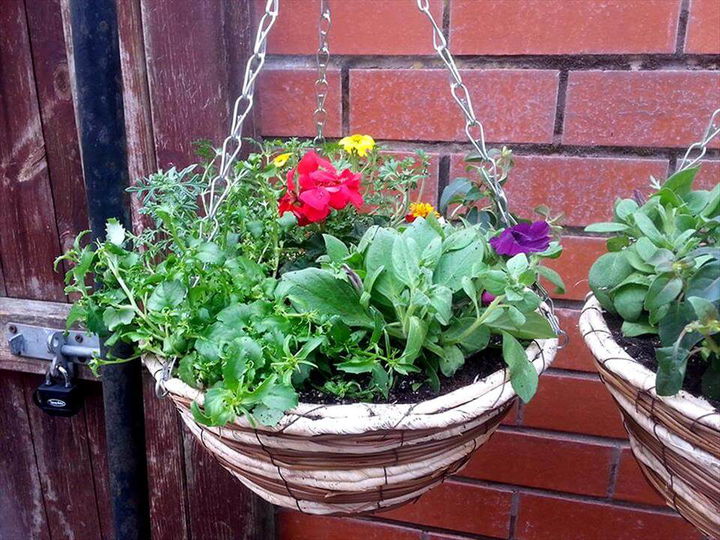 flower hanging round basket