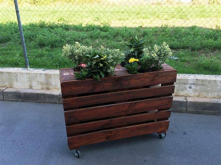low-cost wooden pallet planter